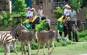 Bali Safari & Marine Park | Bali Adventures | Dena Bali Tours