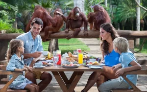 Bali Zoo Park | Bali Adventures | Dena Bali Tours