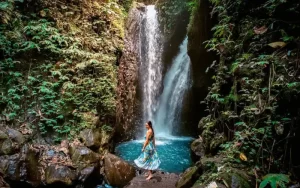 Lovina Tour | Bali Full Day Tours | Dena Bali Tours