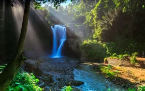 Best Seller 1 | Best Seller Tour | Dena Bali Tours