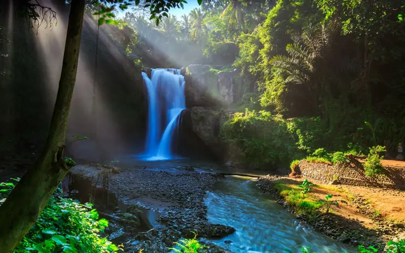 Best Seller 1 | Best Seller Tour | Dena Bali Tours