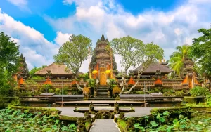 Ubud Tour | Bali Half Day Tours | Dena Bali Tours